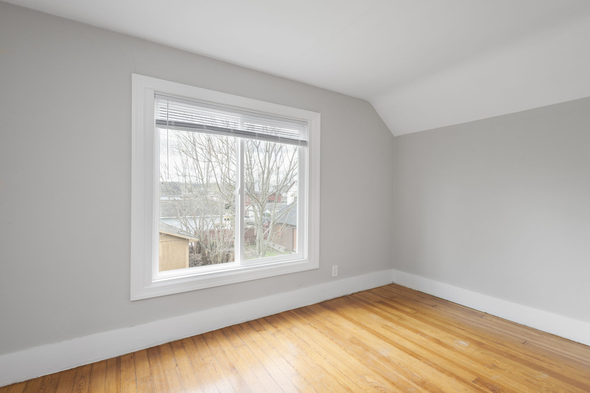 23-web-or-mls-001 (23)