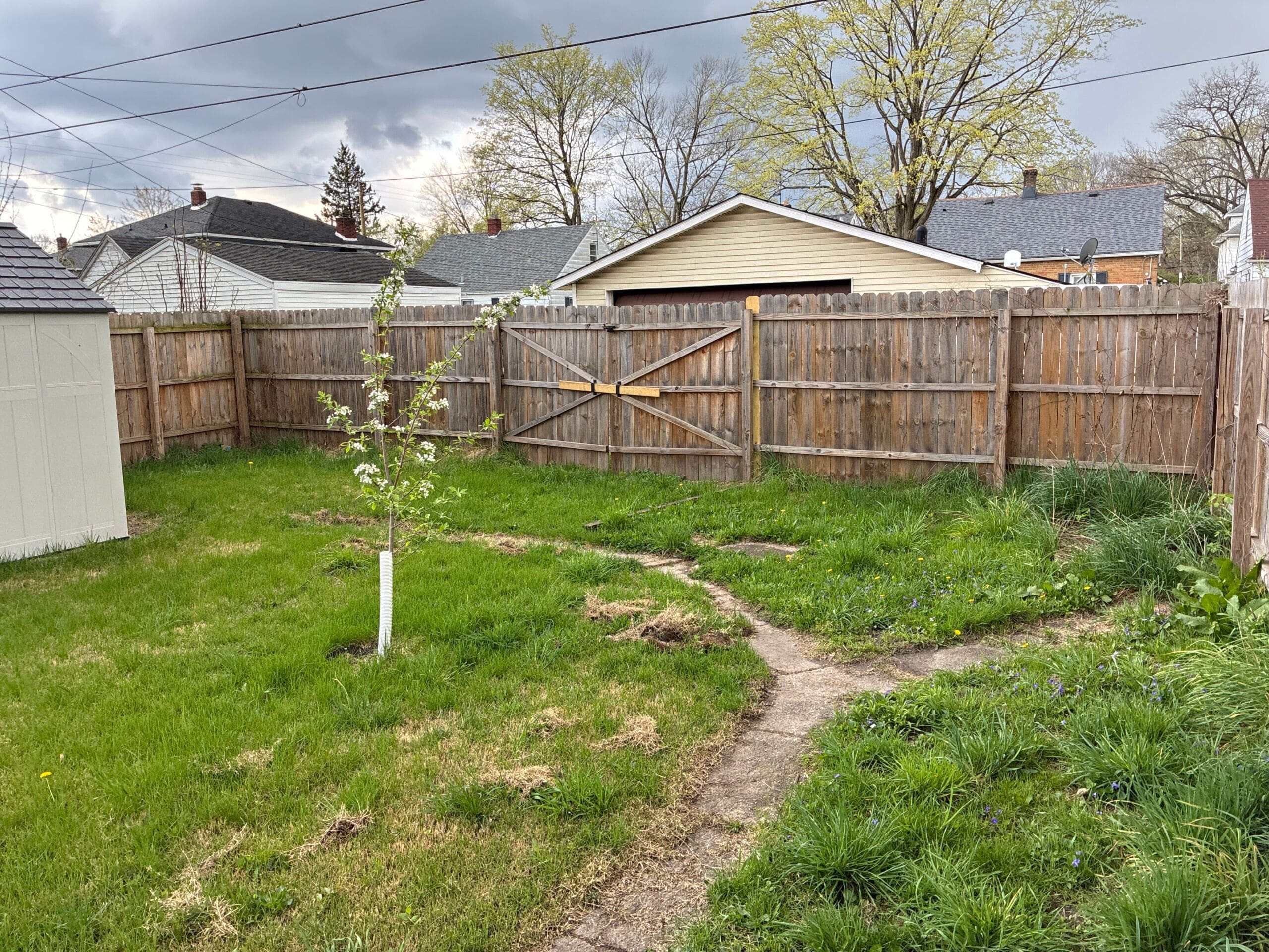 Fenced yard