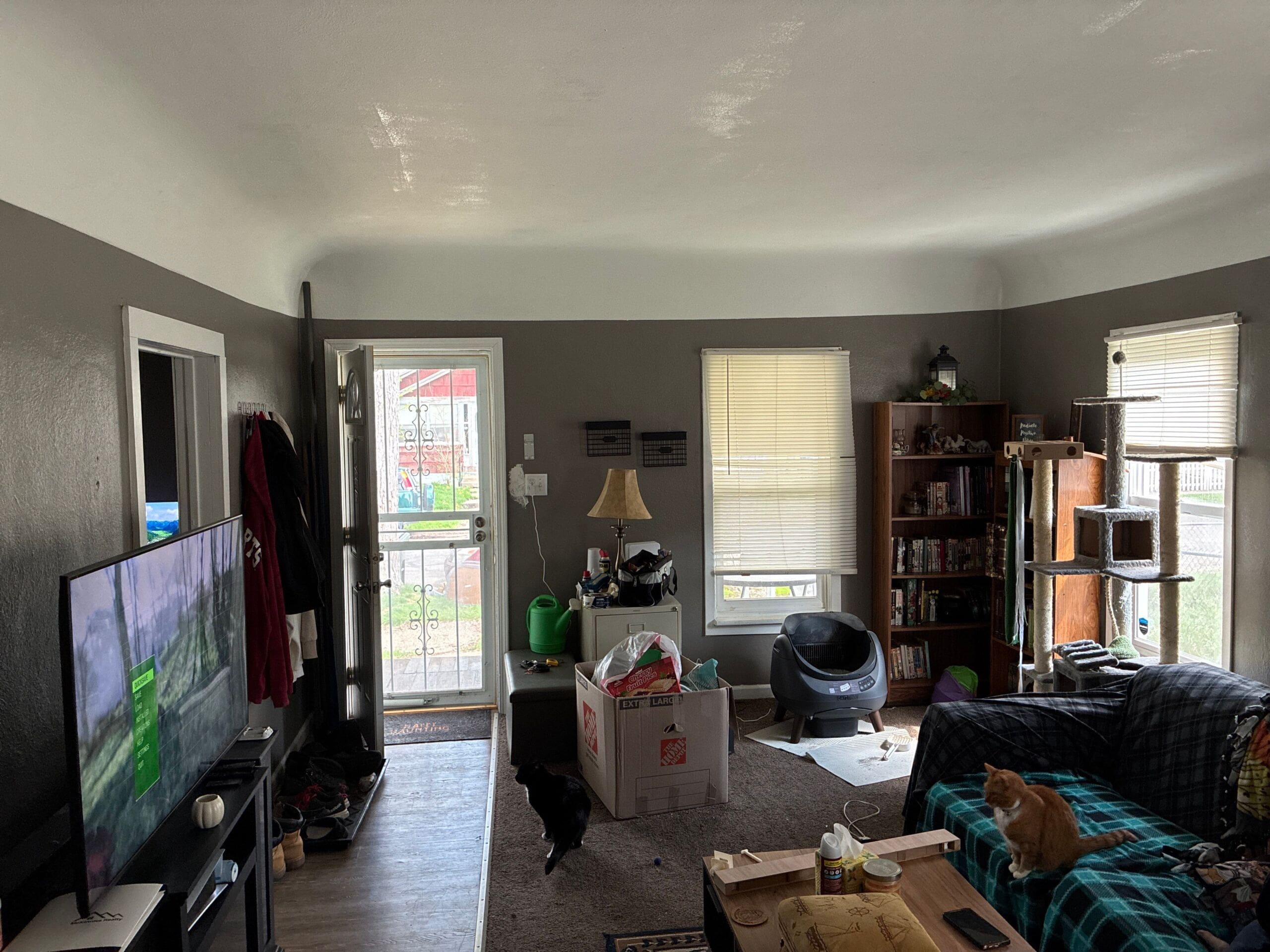Living Room 2